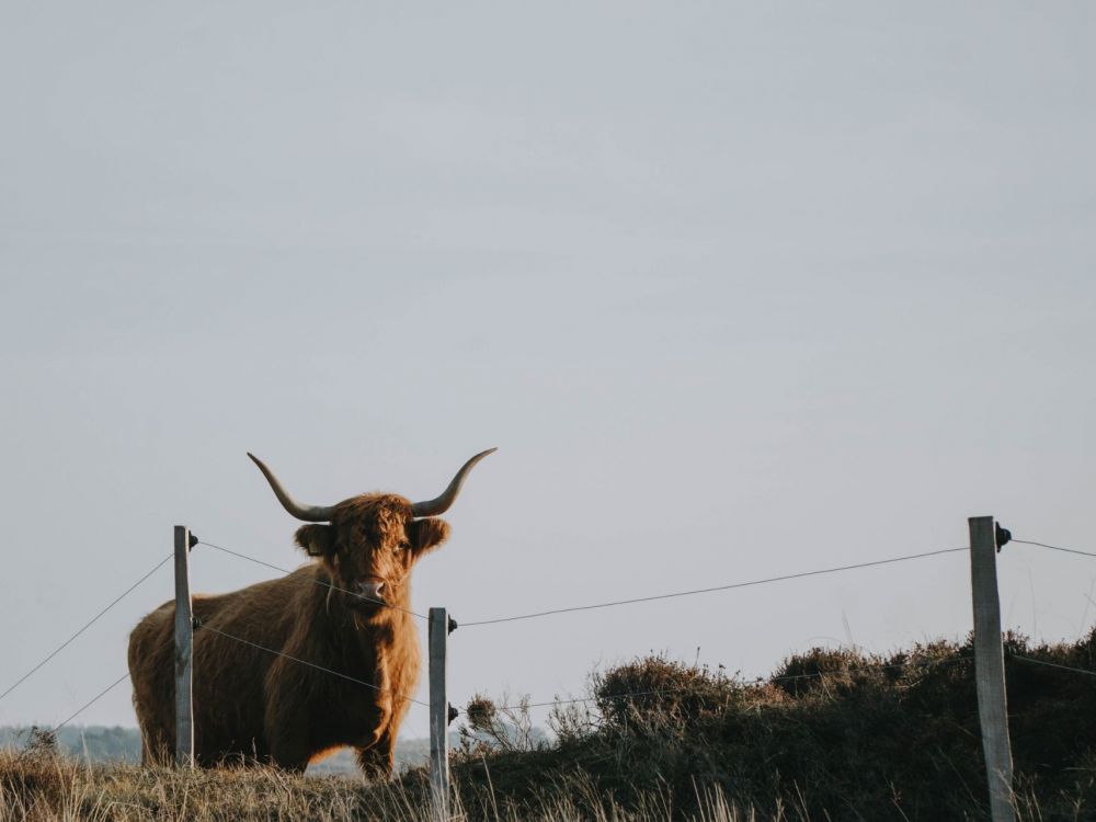 0262-patrik-laszlo-ISpTE8DIYhM-unsplash