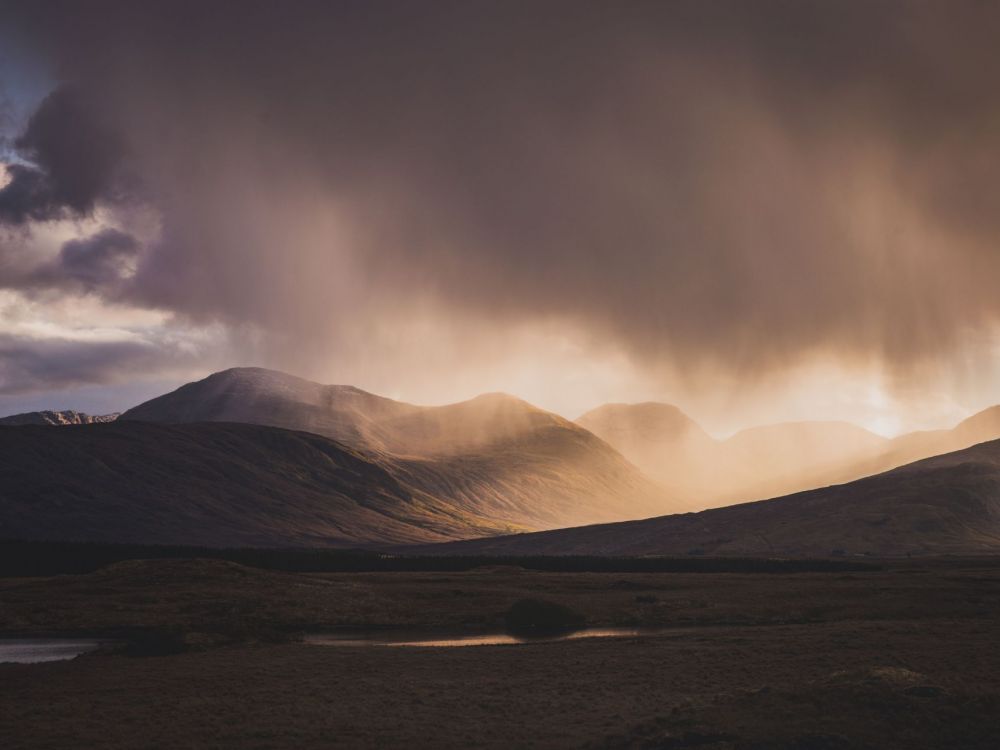 3819-olivier-guillard-aSmxd4neejM-unsplash